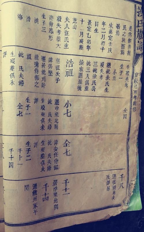 7de80ea88e906c21_08_2edd2a7372a9.jpg