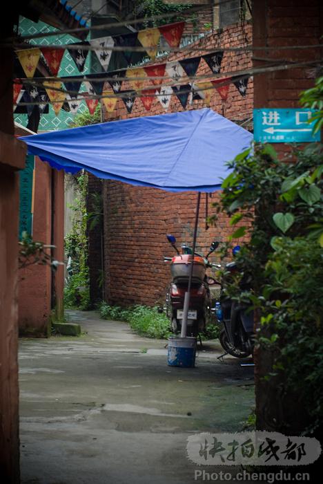 chinacui_19396_4_a6dffd80f3aa.jpg