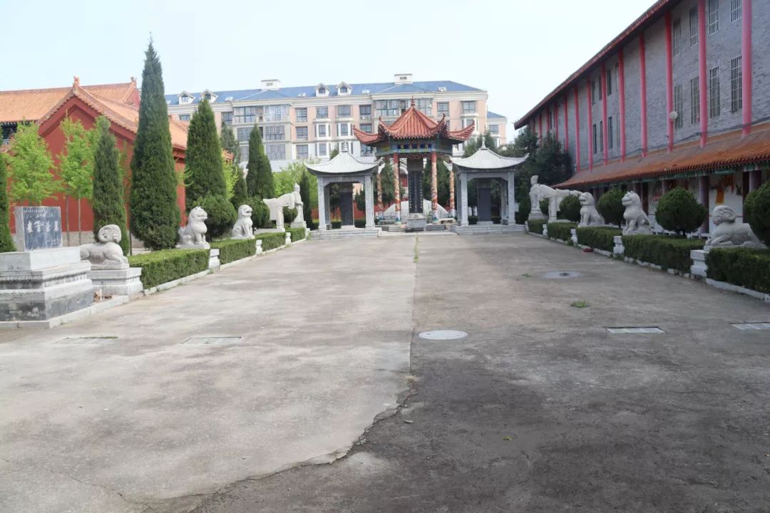 chinacui_41559_5_0fe51048c1d4.jpg