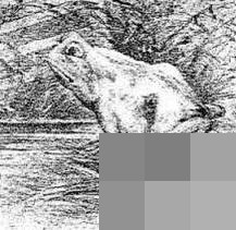 cns_8f0d3ca26b0618acd5_00.jpg