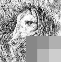 cns_9f143eaad2ac3ece7a_01.jpg