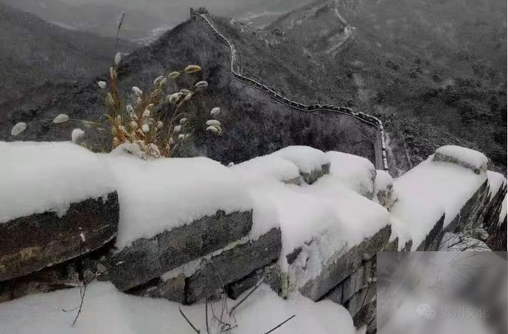 diaoshanghai_10802_b322b1d61842.png