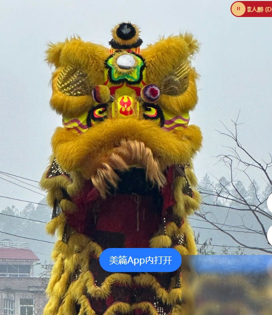 diaoshanghai_15208_69b274f3e83f.png