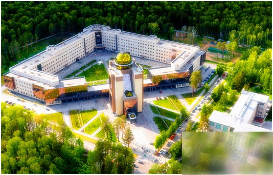diaoshanghai_16212_d2a88cbe3e49.png