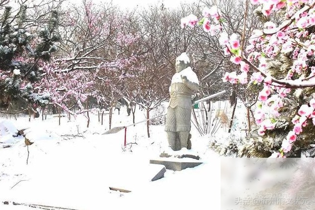 diaoshanghai_26503_7eb68d1b67c9.png