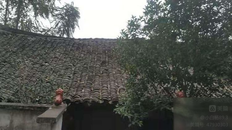 diaoshanghai_2806_e927e0512c43.jpg