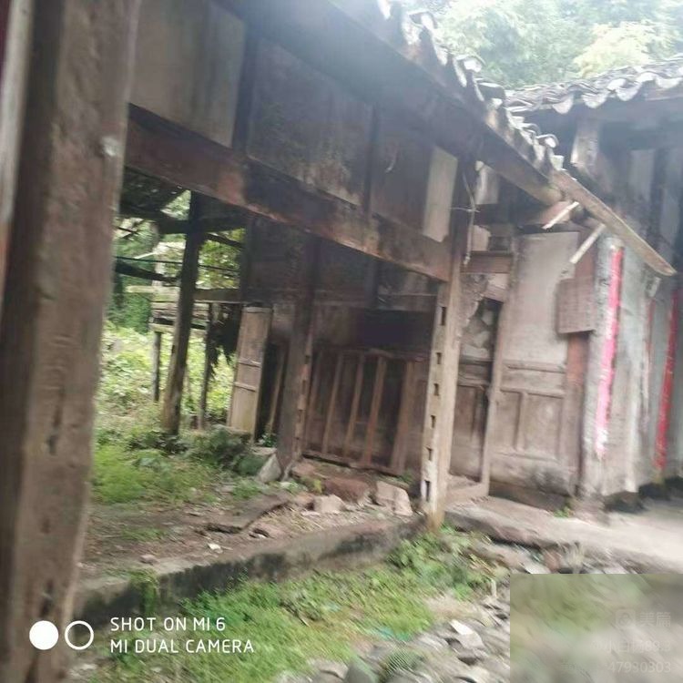 diaoshanghai_2817_ce408e5427c5.jpg