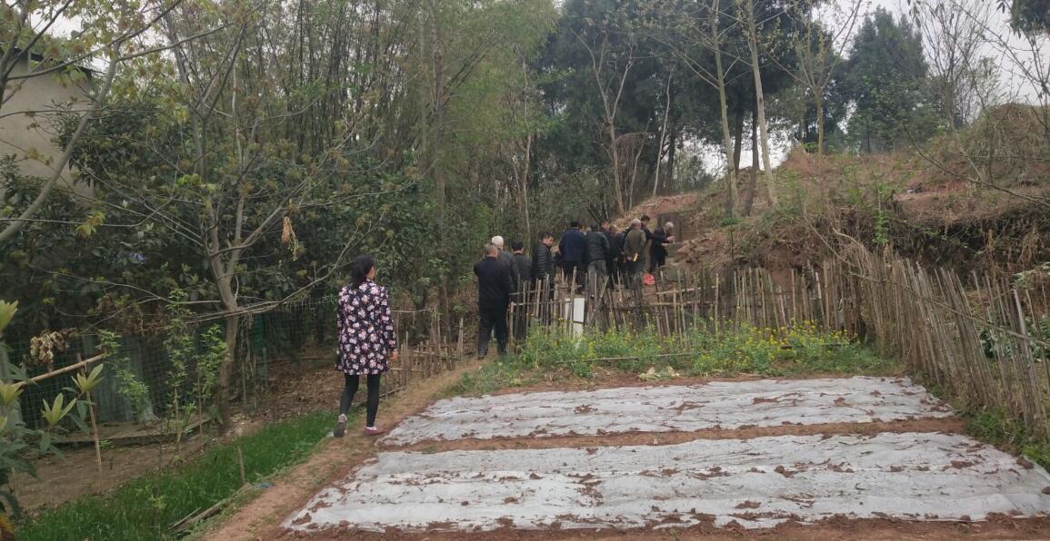 【地方特色】中江西山(五块碑)房氏祭祖暨宗亲联谊活动掠影：宗亲纪事.jpg