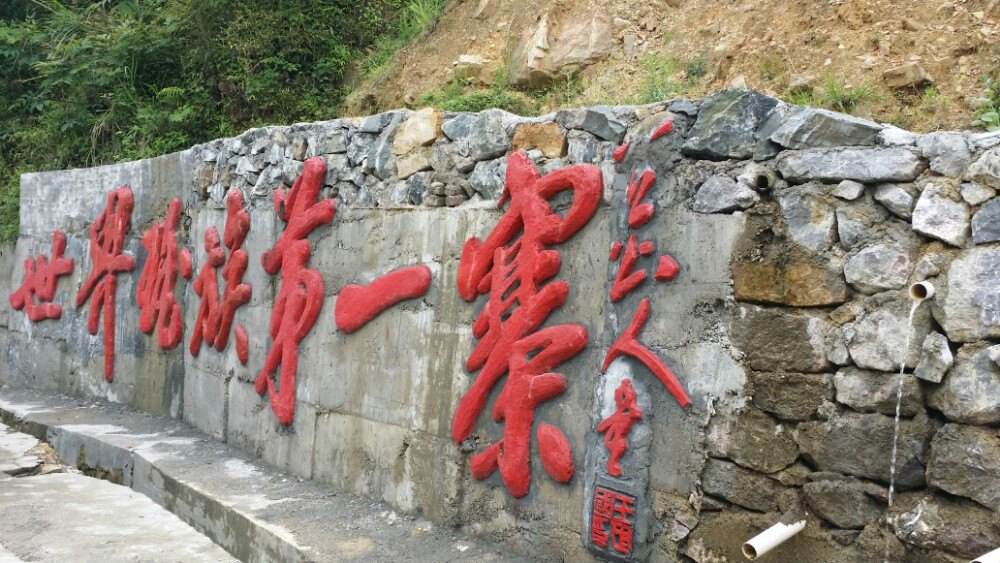 【特色活动】千年瑶寨千年房族人邀你体验瑶族房氏文化见证瑶族房家盛事：房氏谱牒资料.jpg