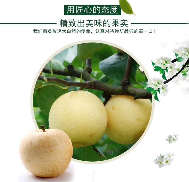 【特产】博望房氏黄金梨--值得用一年时间等待这一口甜美：房氏工商纪要.jpg