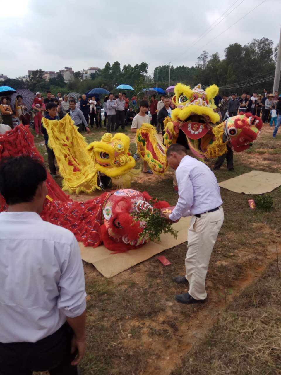 【祭祖视频】粤西房氏开春祭祀余氏始太祖婆：祭祖纪实.jpg