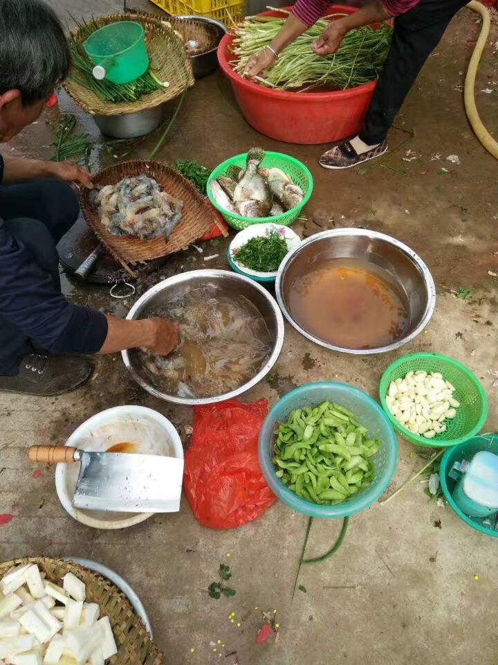 集】各地房家人过新年.jpg