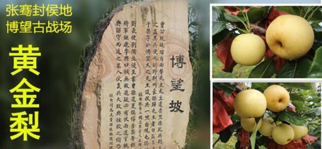 【特产】博望房氏黄金梨--值得用一年时间等待这一口甜美：房氏工商纪要.jpg