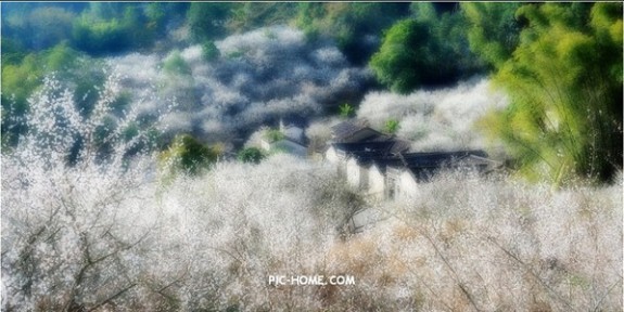广东房氏村庄梅花盛开：房氏迁徙与分布.jpg