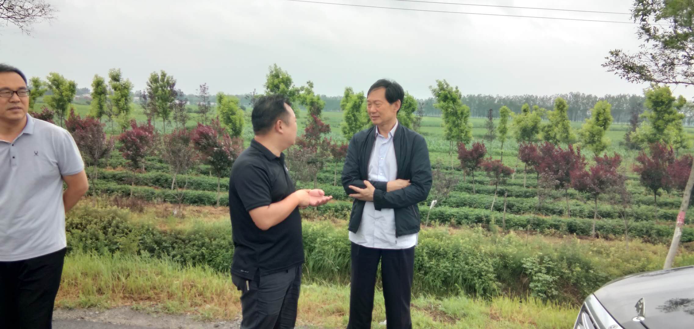 【考察】河南宗亲考察房国遗址并听取了关于筹建丹朱文化公园的规划：房氏遗迹辑录.jpg