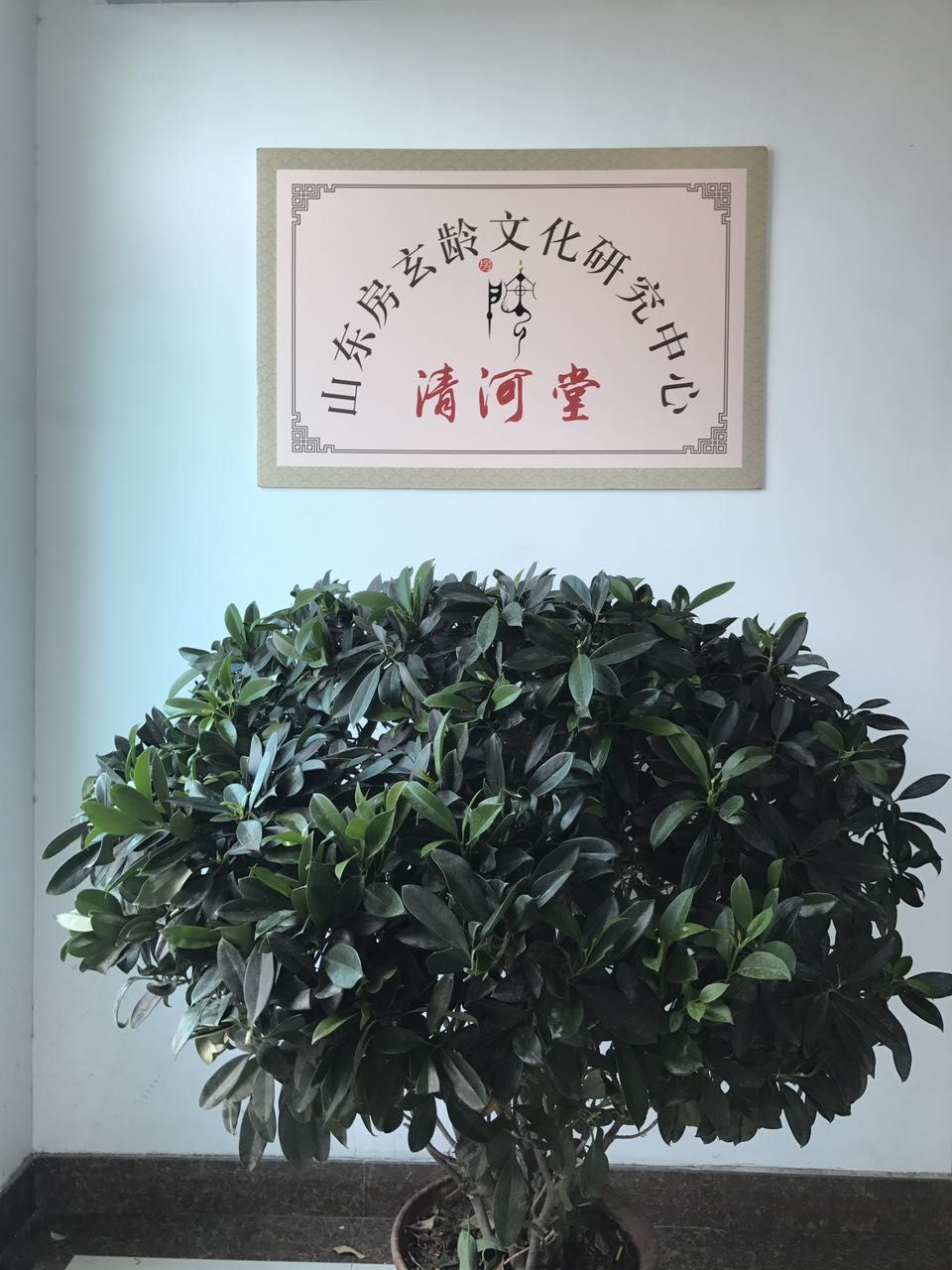 【祝贺】山东房玄龄文化研究中心通过山东省民政局评审、验收！：宗亲纪事.jpg