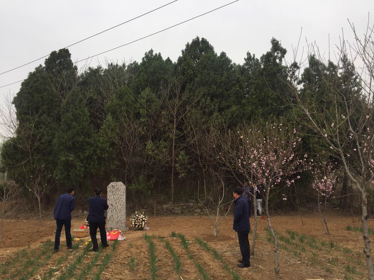 【爱宗敬祖】三月桃花开 枣庄代表冒雨驱车拜祭房彦谦、清河房太夫人：房氏迁徙与分布.jpg