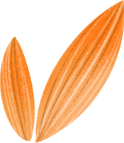 b0656252a65b8ec3aee29d0e287eeccf845ef858f547f9a29d6f1420ea85cc23.png