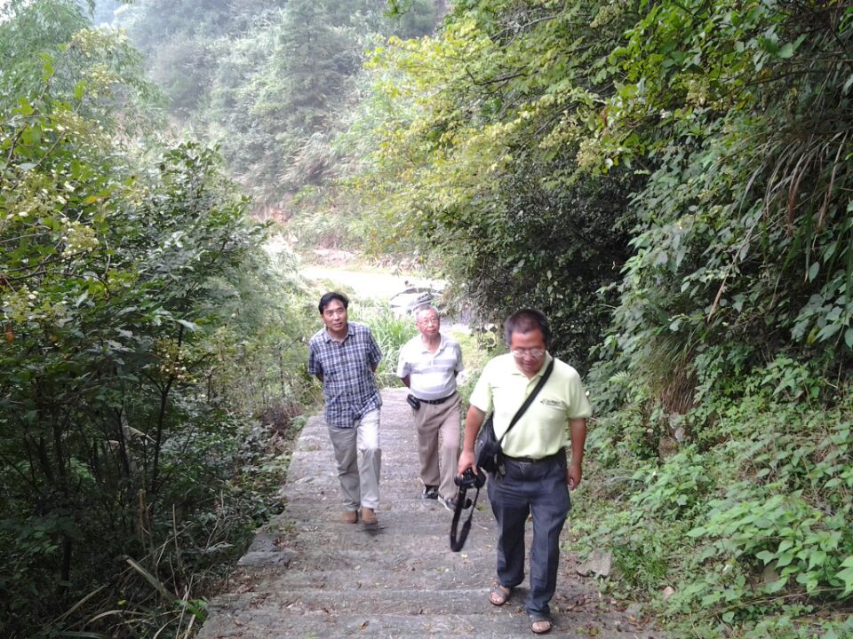 奔走在汪村路上（文化资料整理）.jpg