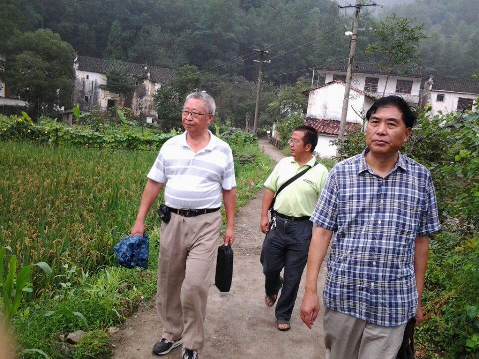 奔走在汪村路上（文化资料整理）.jpg