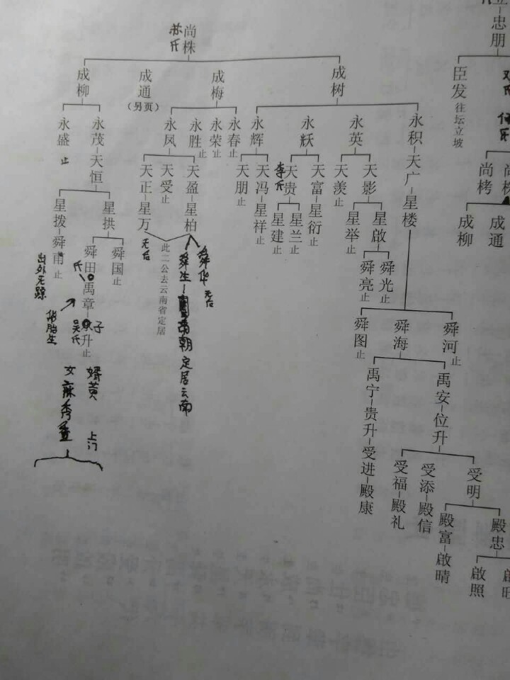 5d80ed21d8948493c47568d096de.jpg