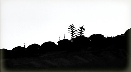 jp5000_3455229e9e33c46167_01.jpg