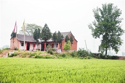 jp5000_37c4ec32feecd9970f_00.jpg