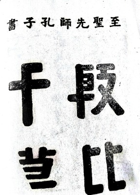 jp5000_d7c780f56ed1397af7_06.jpg