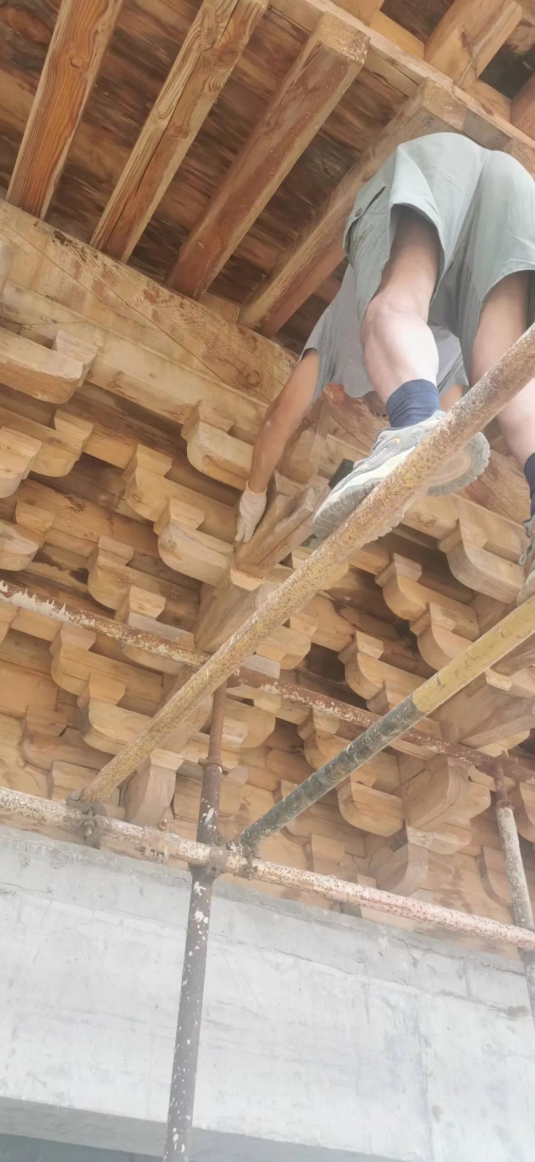 cns_kang_043b6476869eb15226_17.png