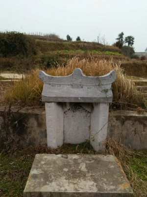 cns_kang_08243de64ae48e3198_2.png