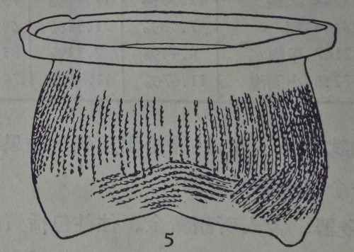cns_kang_089e144f65d864ea83_41.png