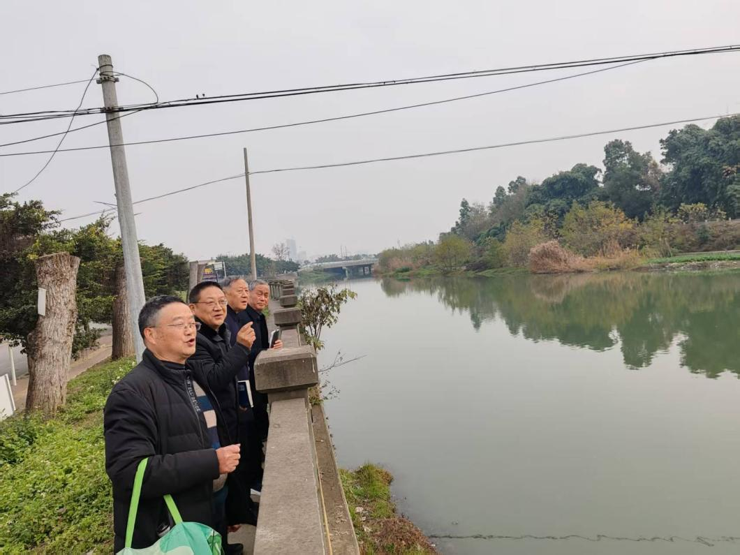 cns_kang_09099d2308f2349d69_3.png