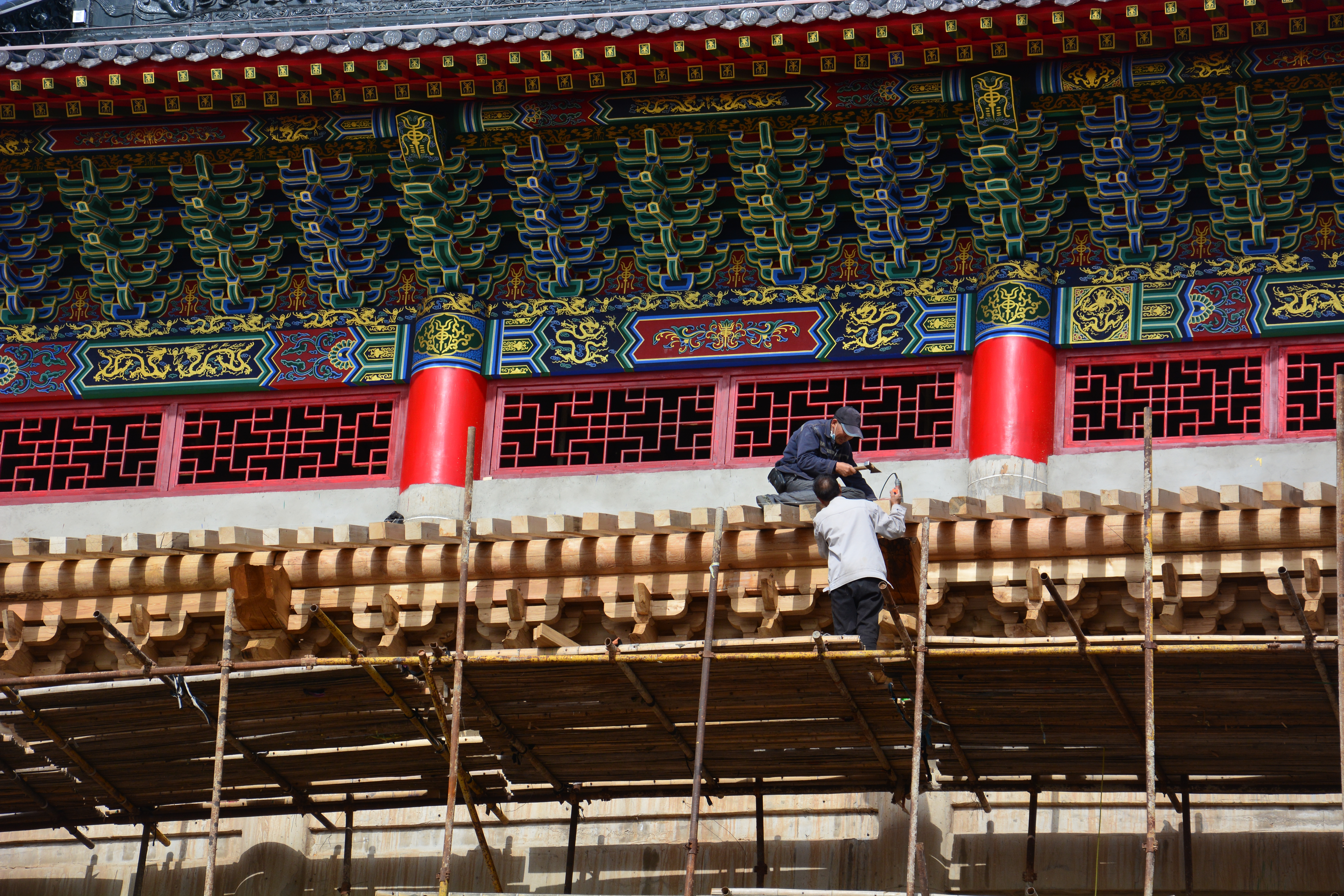 cns_kang_0f12202e2c0dcaa76a_2.jpg