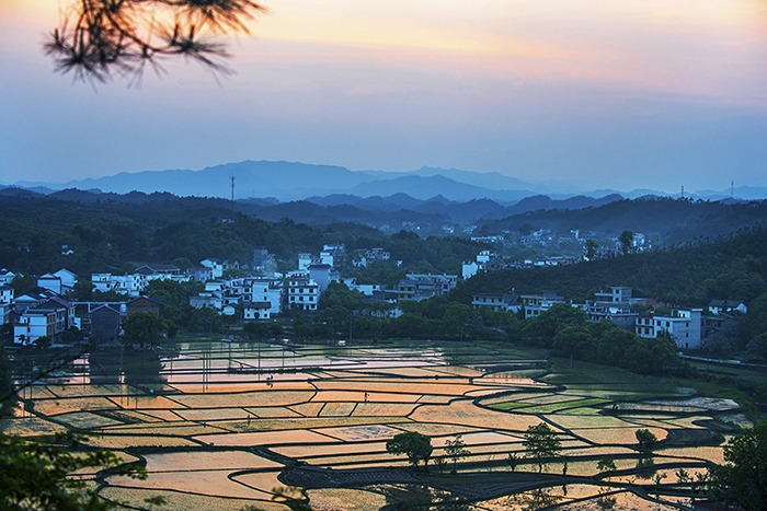cns_kang_1a07f106d16009fdc7_6.jpg