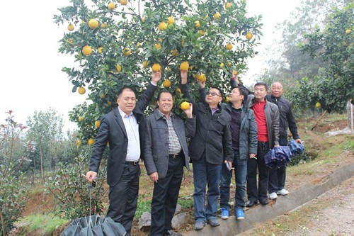 cns_kang_2371a6f632e665f8c7_2.jpg