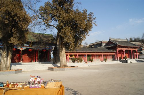 cns_kang_2af4e3f59970877b5a_9.jpg