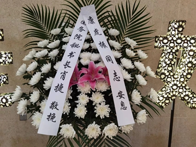 cns_kang_3c89bcbc4630a980c7_3.jpg
