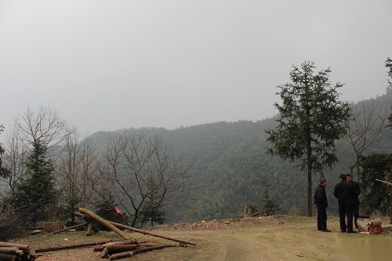 cns_kang_3d4efd226755a197ce_12.jpg