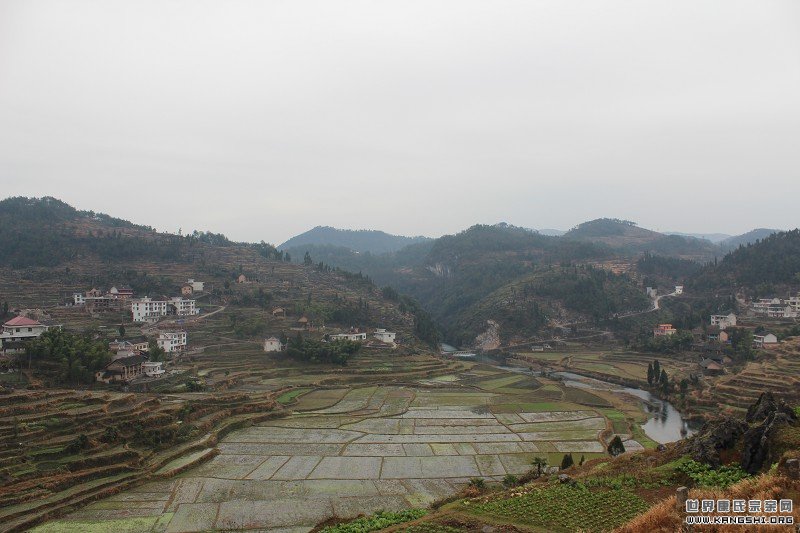 cns_kang_4eaebd2c33aa52c786_8.jpg