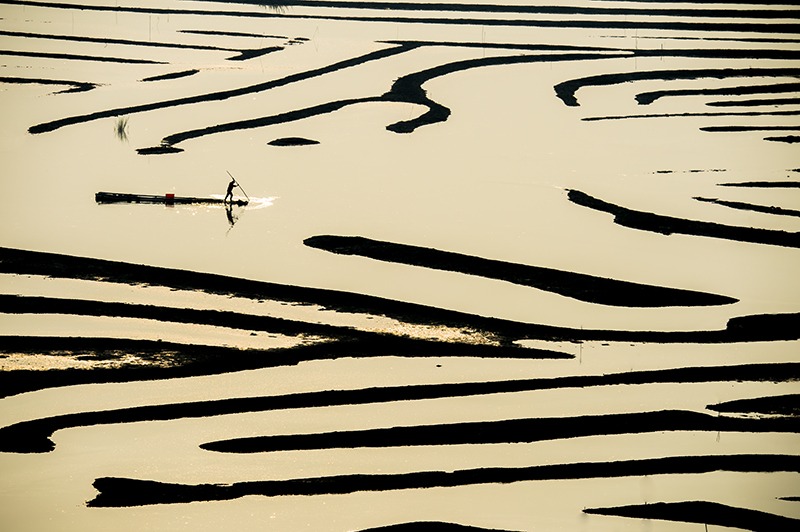 cns_kang_52a68670d7f4524ee9_63.jpg