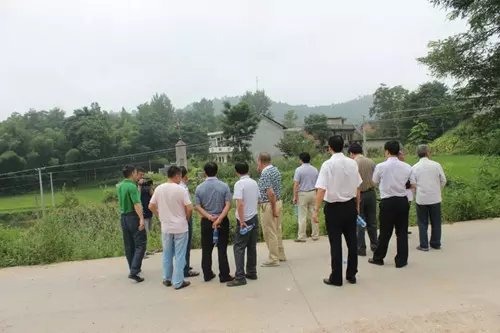 cns_kang_6c365b21d2342388dc_7.jpg