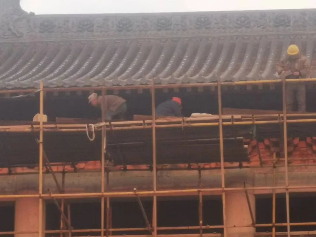 cns_kang_8153b439d6ab79dbac_5.png