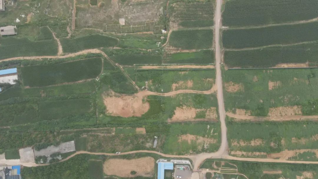cns_kang_9420d60cbfb7040cef_4.png