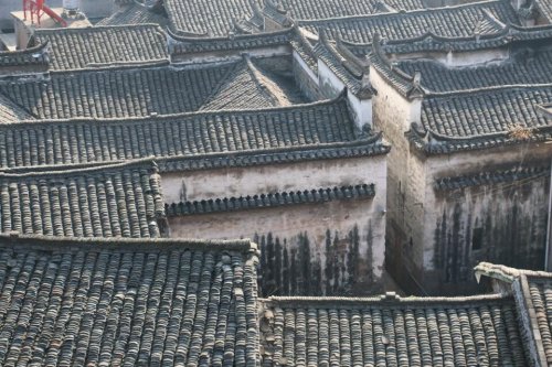 cns_kang_99e5e9225636b5fc16_2.jpg