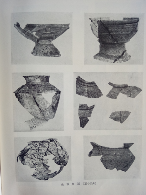 cns_kang_9d3c0b2ae6161c03a2_43.png