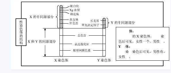 cns_kang_9e364a7b39b2f7499e_0.png