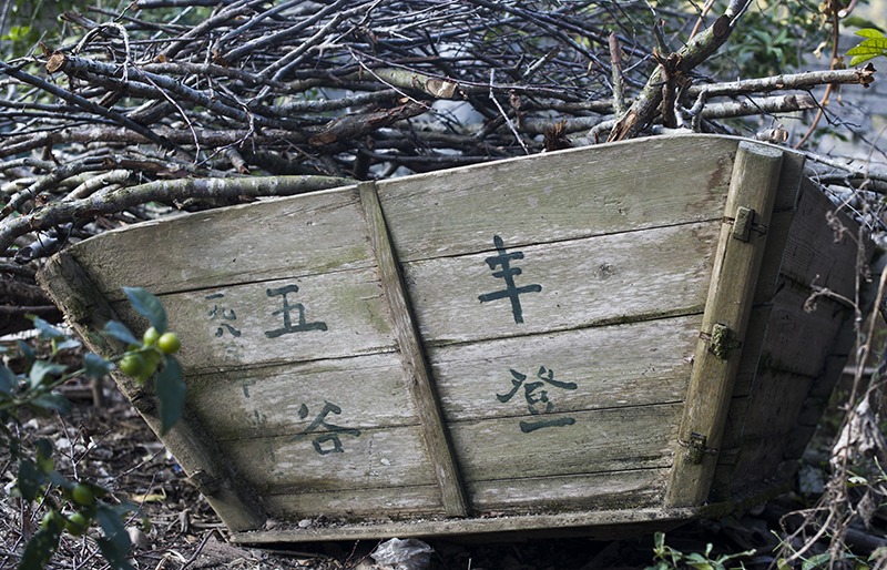 cns_kang_9f033f3d1032988a2f_8.jpg