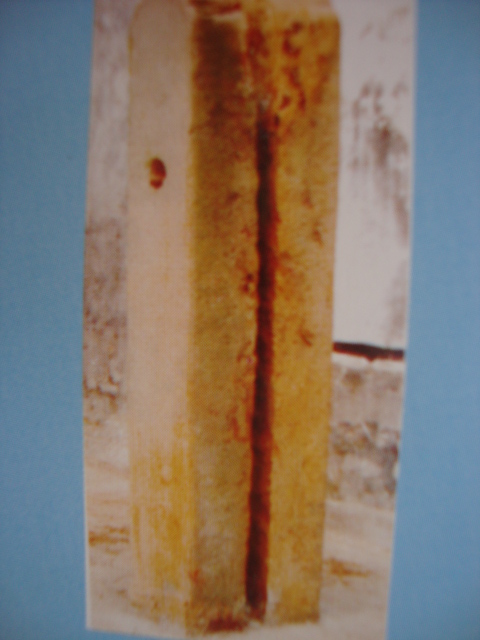 cns_kang_a067fe44a2ab37ba98_3.jpg