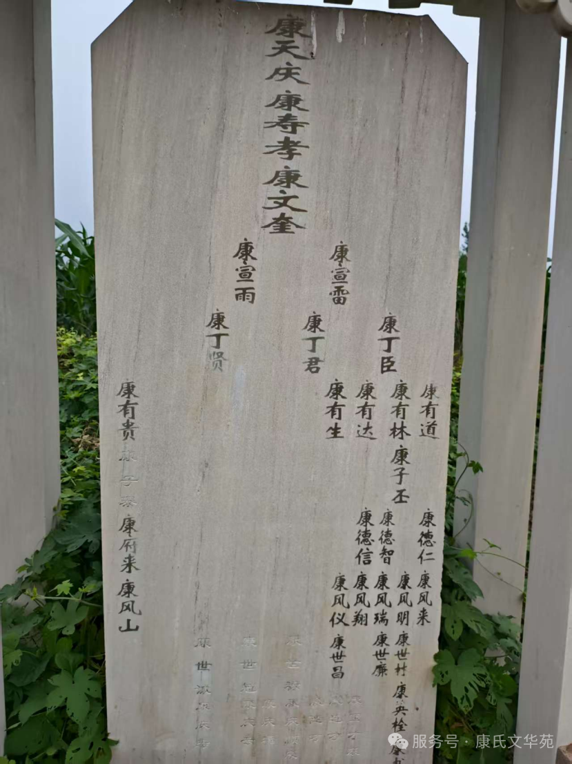 cns_kang_a463d9738a7cf01a17_4.png