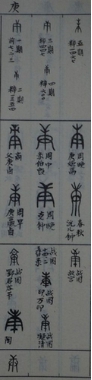 cns_kang_ae27fd07c64a89cf03_6.jpg